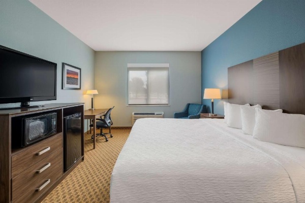 Best Western South Plains Inn & Suites image 30